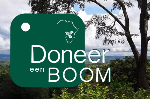 ETK licht - Doneer een boom